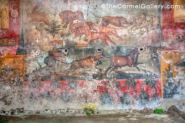 Pompeii Mural Photography Art | The Carmel Gallery