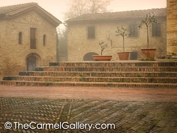 Piazza & Olive Trees