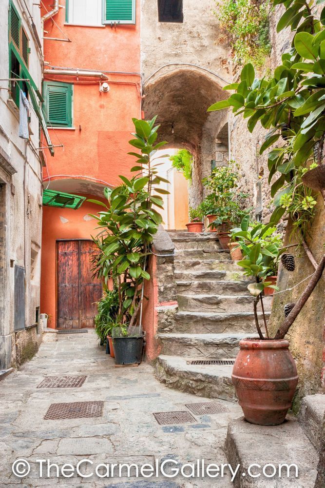 Vernazza Village
