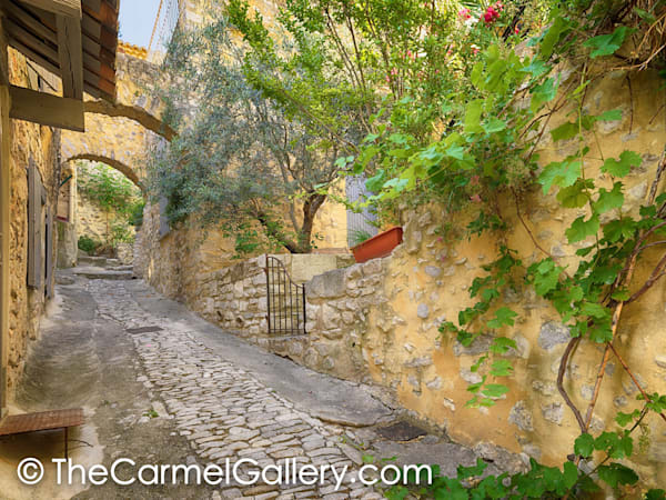 Village Path