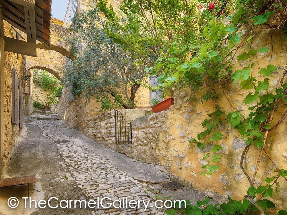 Village Path