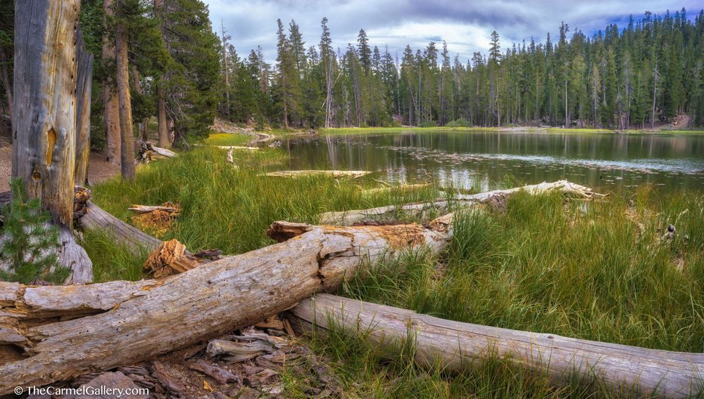 Warren Lake Summer Photography Art | The Carmel Gallery