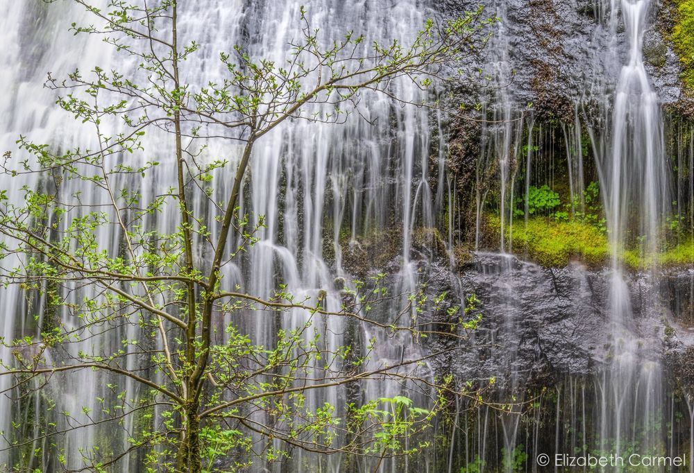 Waterfall Garden Photography Art | The Carmel Gallery