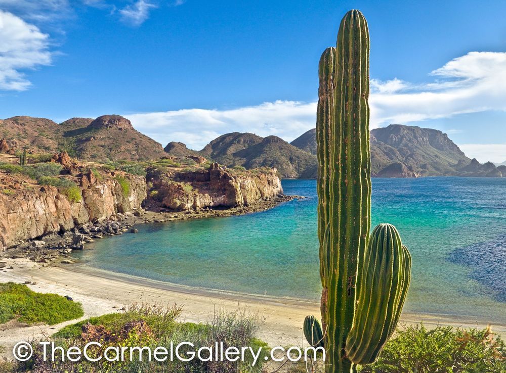Wild Beach, Baja