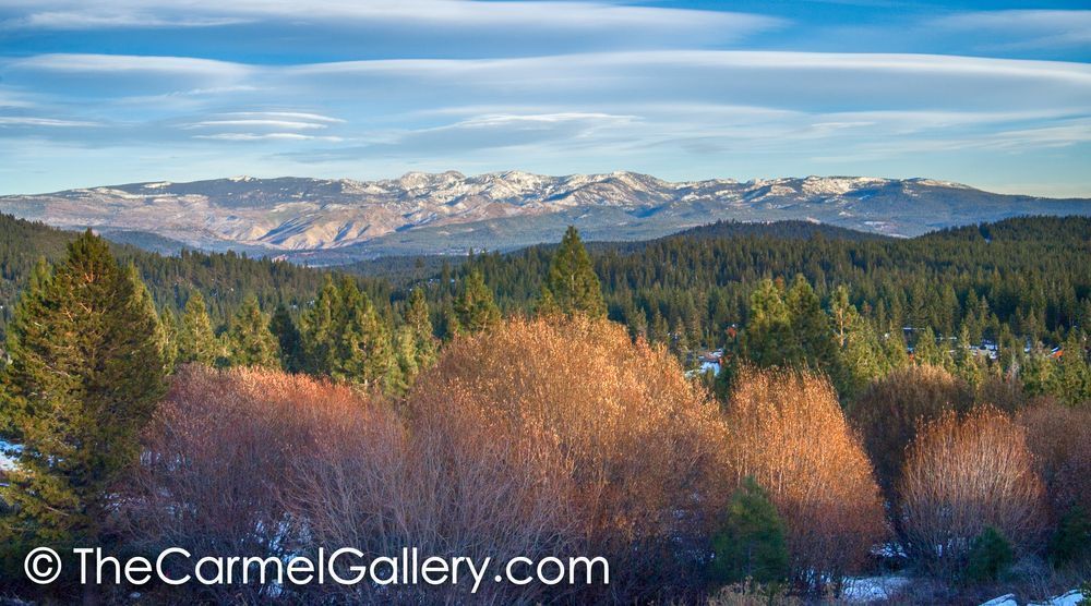 Willows Mount Rose