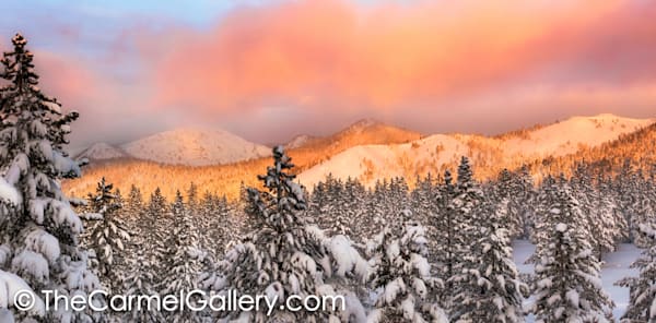 Winter's Breath