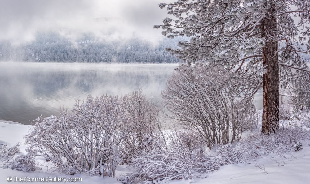 Winter's Breath, Donner Lake Photography Art | The Carmel Gallery
