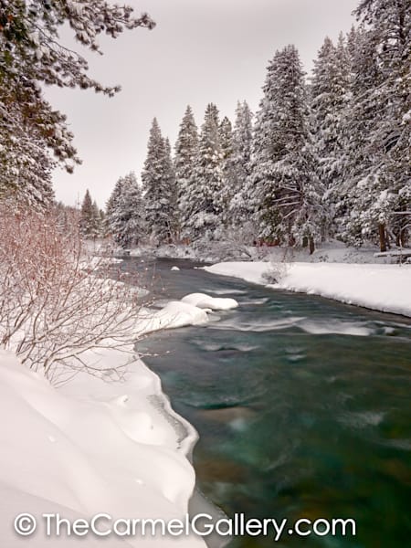 Winter Greens