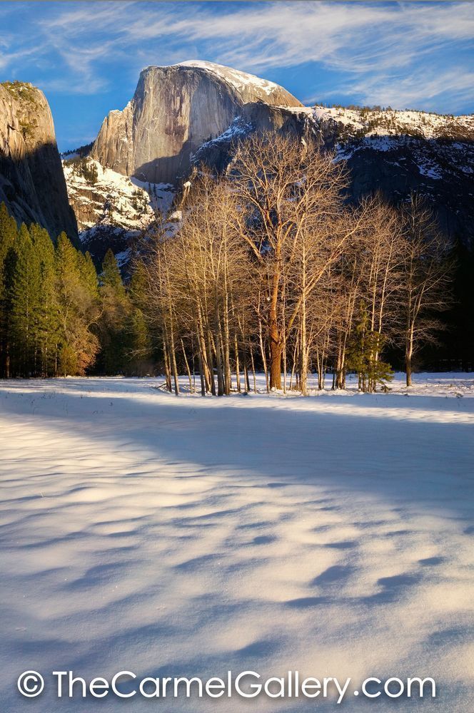 Winter Evening, Yosemite