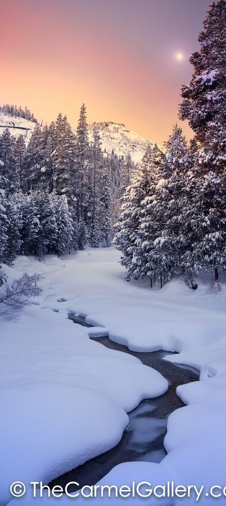 Winter Moon Donner Peak