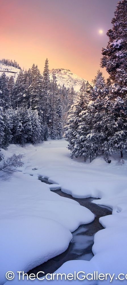 Winter Moon Donner Peak