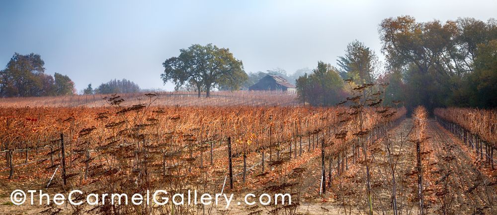 Winter Morning Slusser Barn Photography Art | The Carmel Gallery