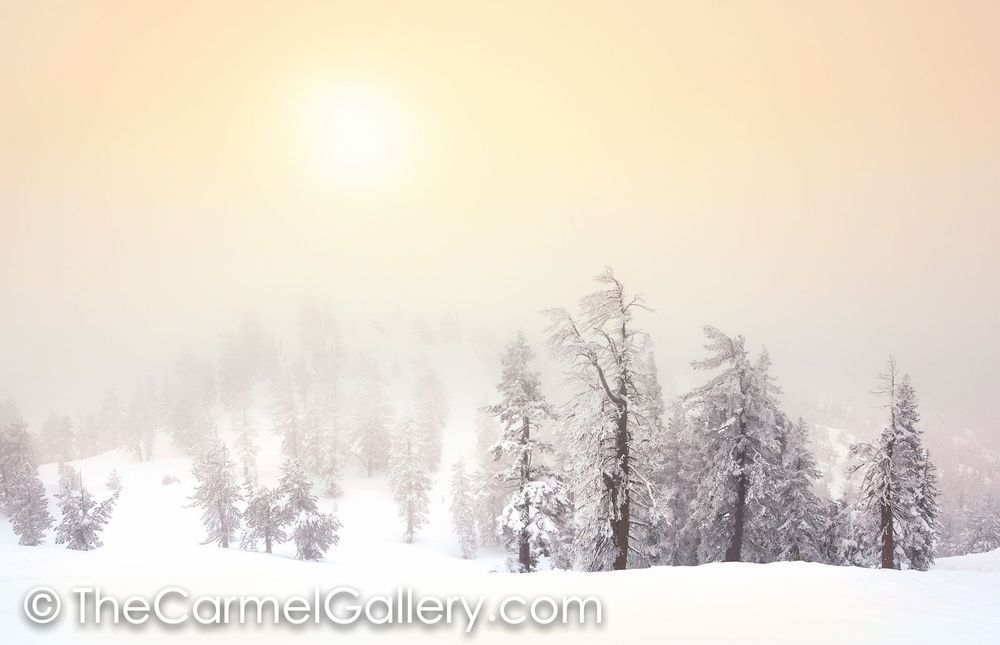 Winter Sun