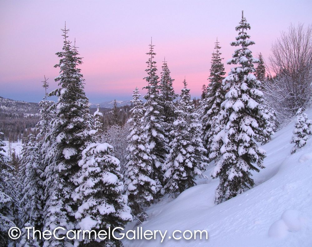 Winter Sunset
