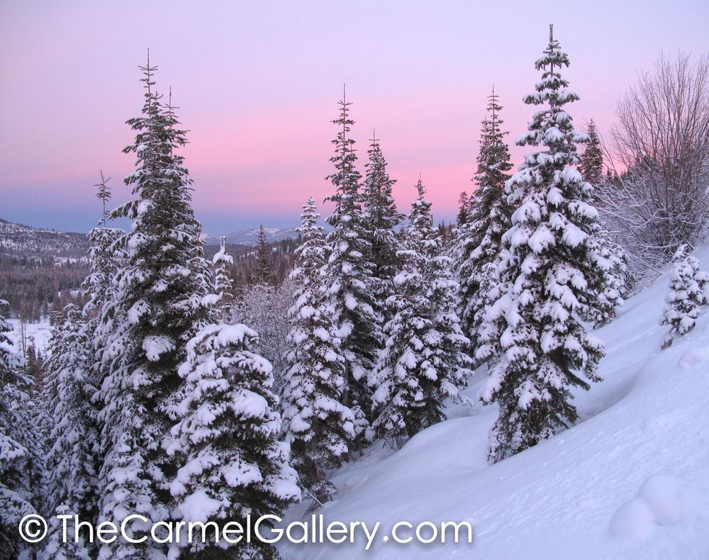 Winter Sunset