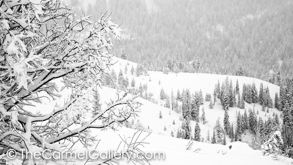 Winter Storm I BW