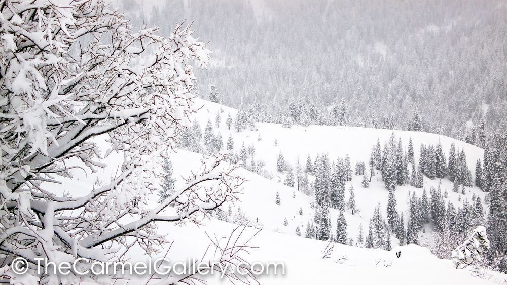 Winter Storm I