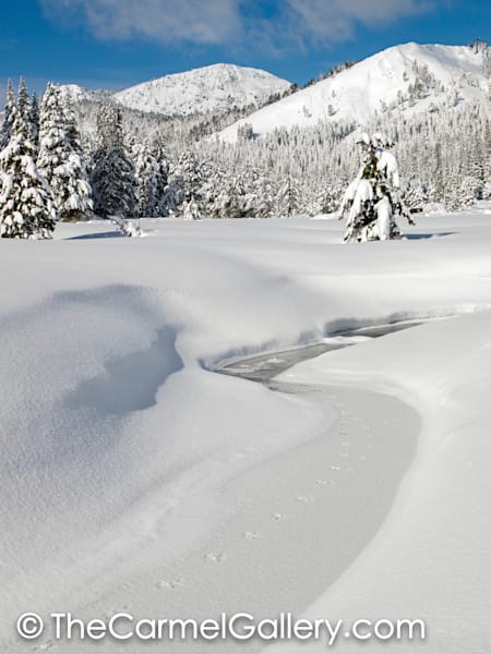 Winter Tracks