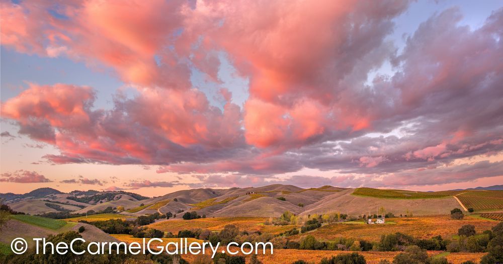 Wine Country Sunset