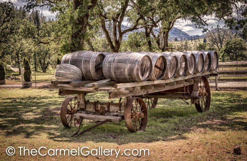 Wine Delivery