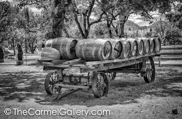 Wine Delivery BW