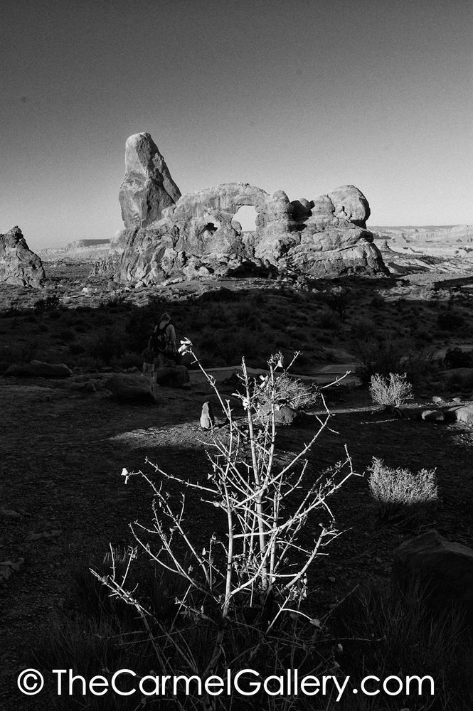 Turret Arch BW