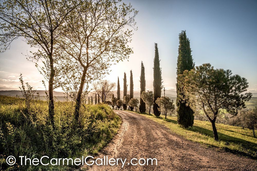 Tuscan Countryside