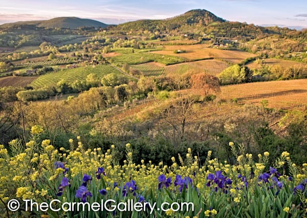 Tuscan Fields