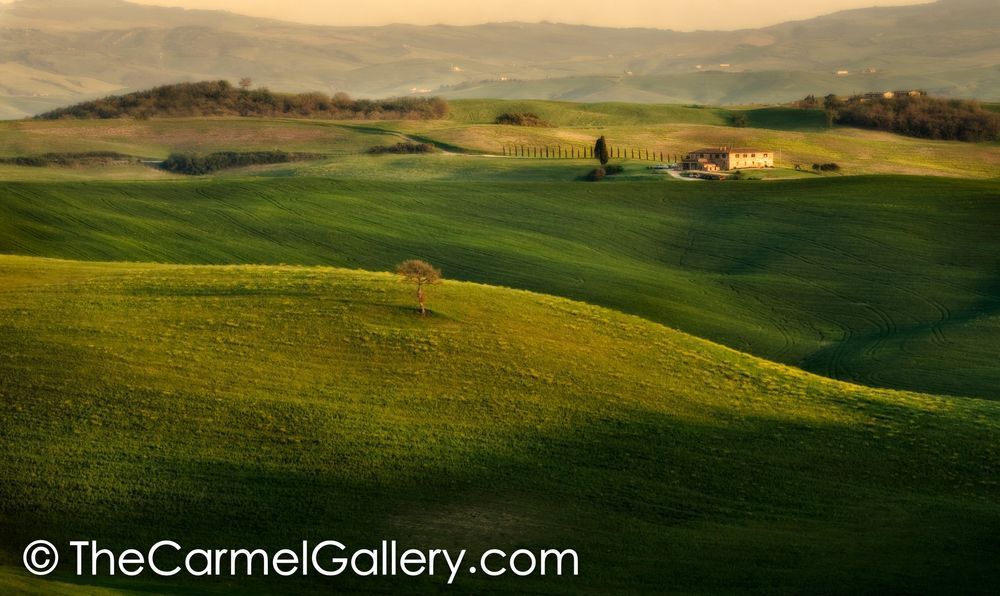 Tuscan Light