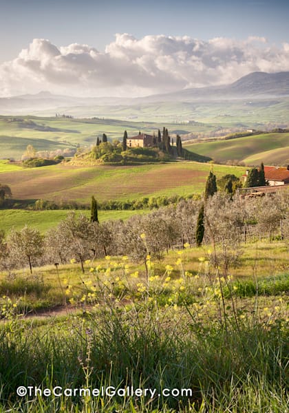 Tuscan Evening Photography Art | The Carmel Gallery