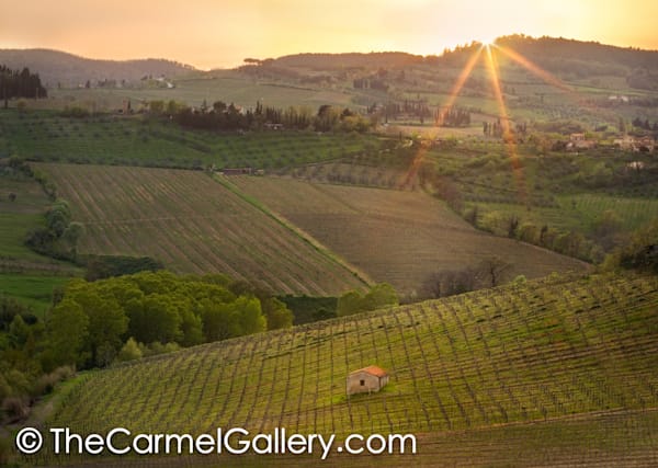 Tuscan Sunset I