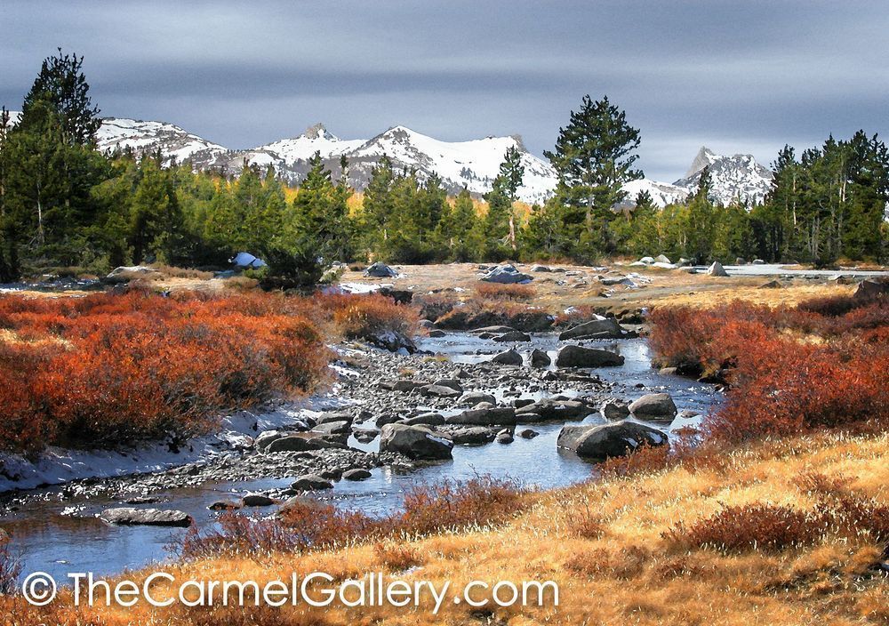 Tuolumne in Autumn