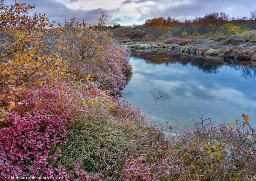 Tundra Frost Ii Photography Art | The Carmel Gallery