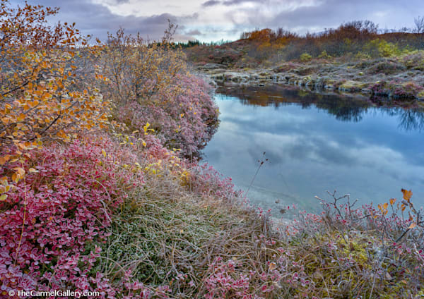 Tundra Frost Ii Photography Art | The Carmel Gallery