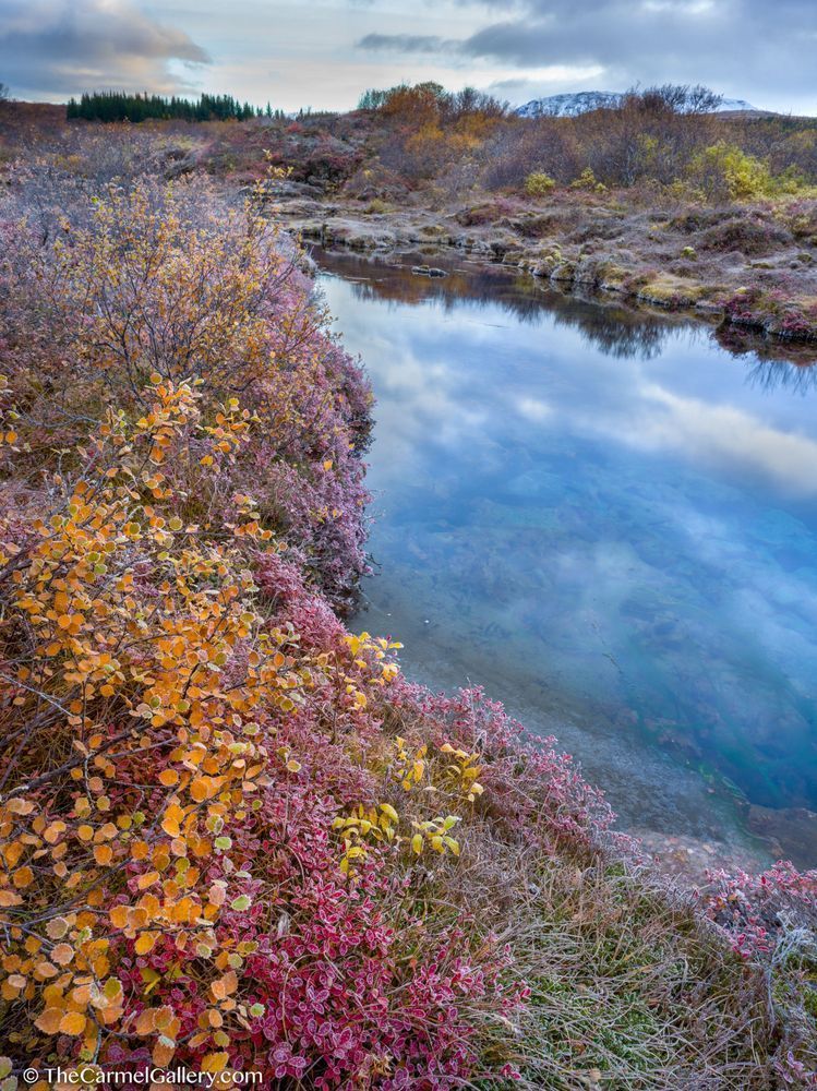 Tundra Frost I Photography Art | The Carmel Gallery