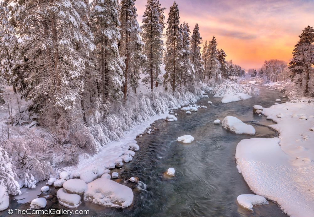 Truckee River Art