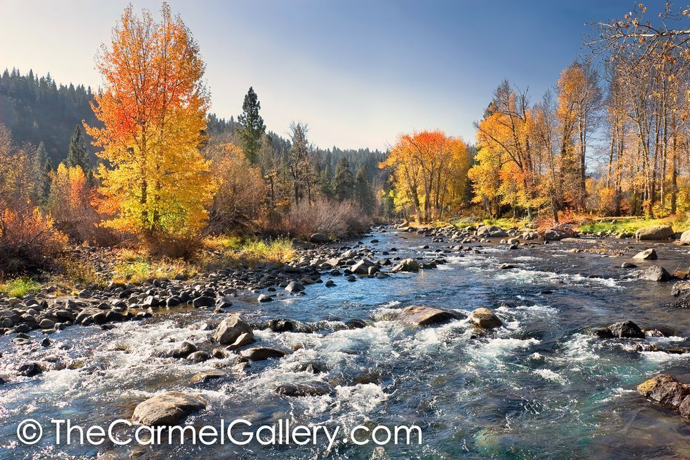 Truckee River Rapids