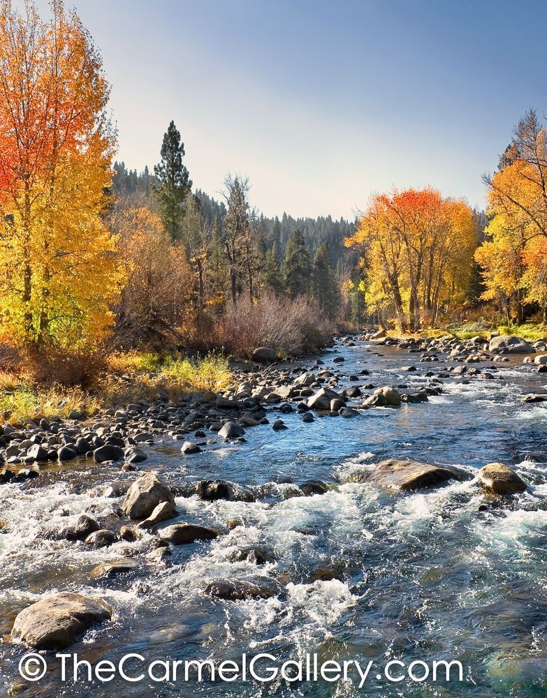 Truckee River Rapids V