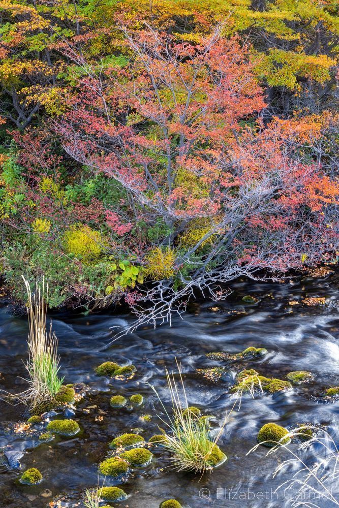 Tranquility Photography Art | The Carmel Gallery