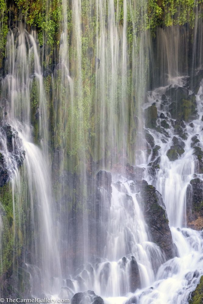 Translucent Photography Art | The Carmel Gallery