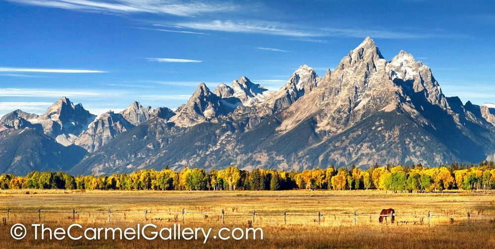 Teton Morning