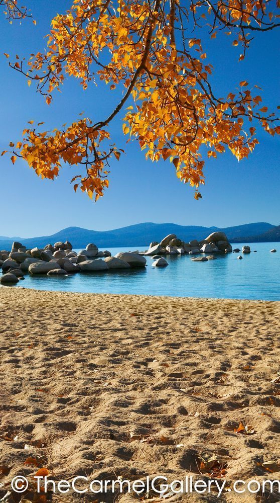 Tahoe Autumn