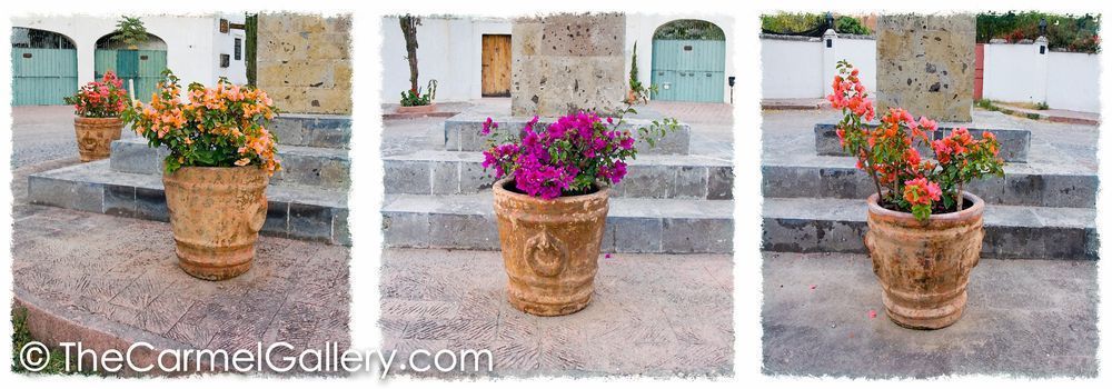Three Pots San Miguel
