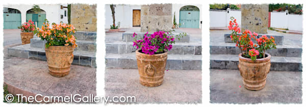 Three Pots San Miguel