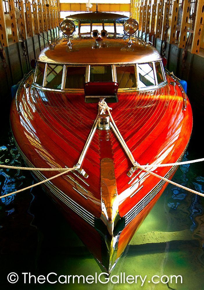 Thunderbird at Rest