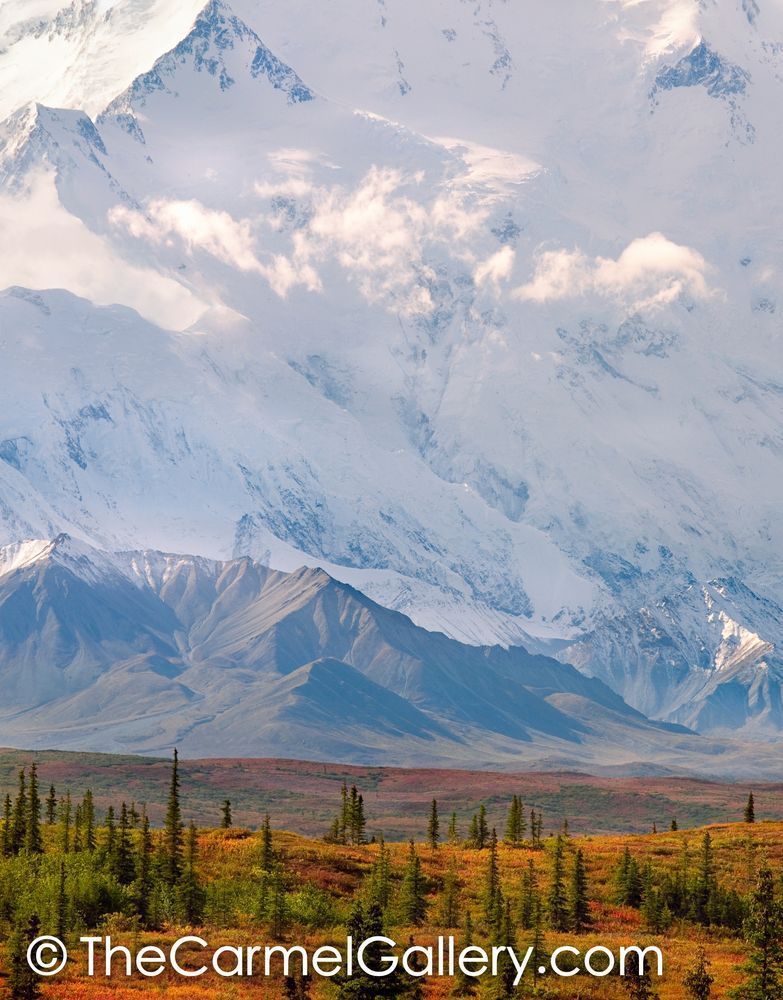 The North Face, Denali