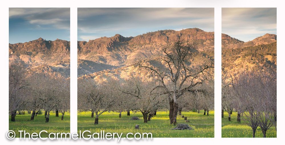 The Palisades, Calistoga ALL
