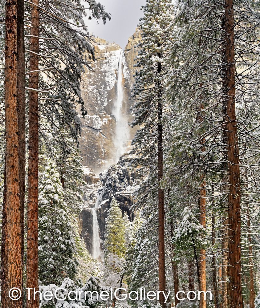 Upper & Lower Yosemite Falls