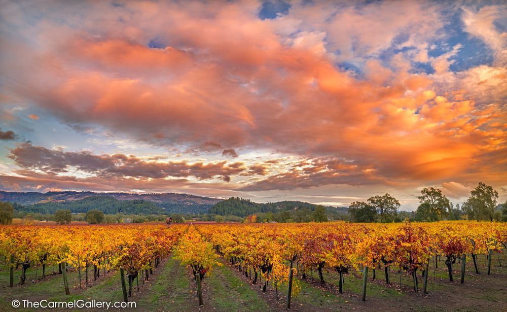 Up Valley Sunset Photography Art | The Carmel Gallery