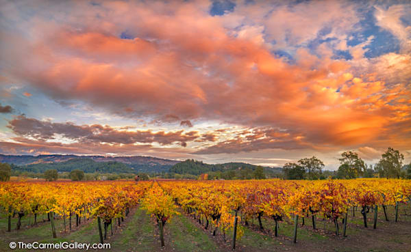 Up Valley Sunset Photography Art | The Carmel Gallery